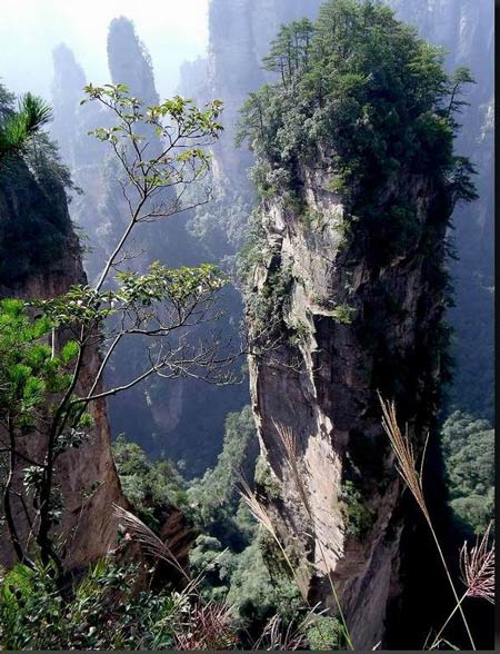 長沙出發(fā)到張家界溶洞奇觀黃龍洞、國家森林公園、袁家界、峰林之王天子山三日游（早班）