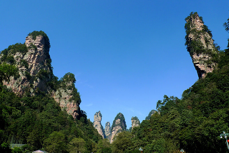 張家界國家森林公園、黃龍洞、天門山、鳳凰古城純玩五日游